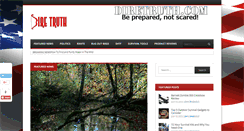 Desktop Screenshot of diretruth.com